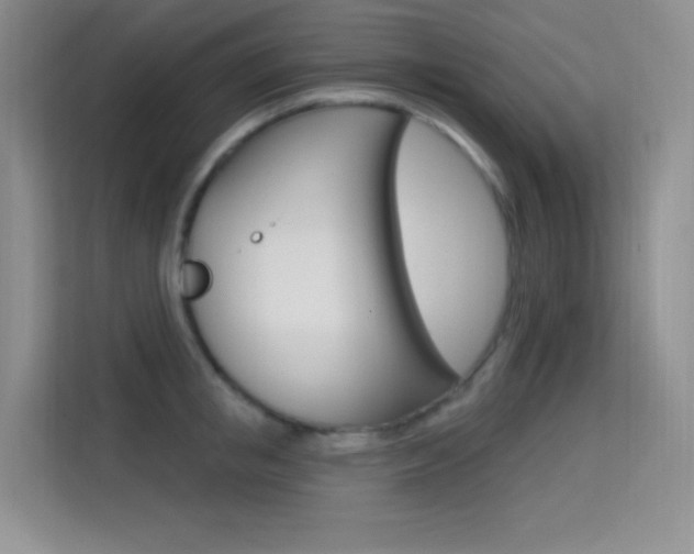X0000114730853200910211101