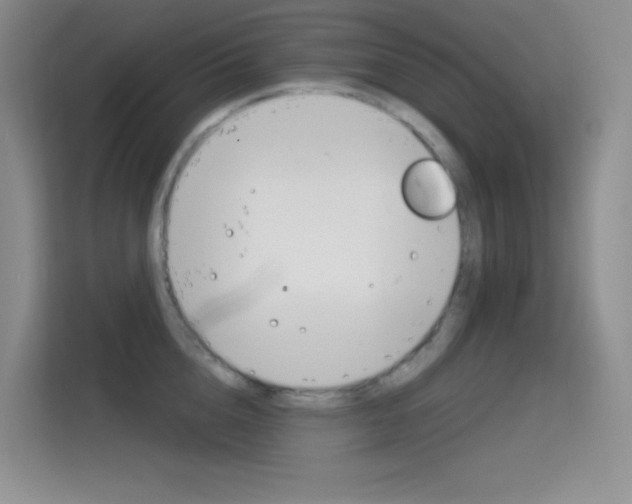 X0000114730856200910211101
