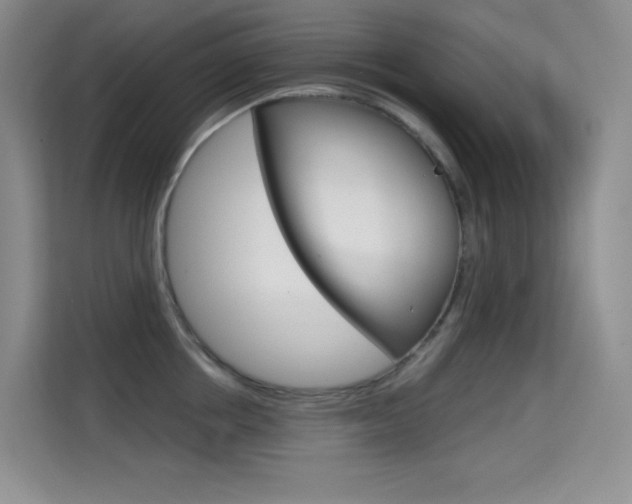 X0000114730858200910211101