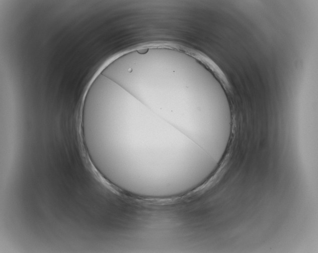 X0000114730860200910211101