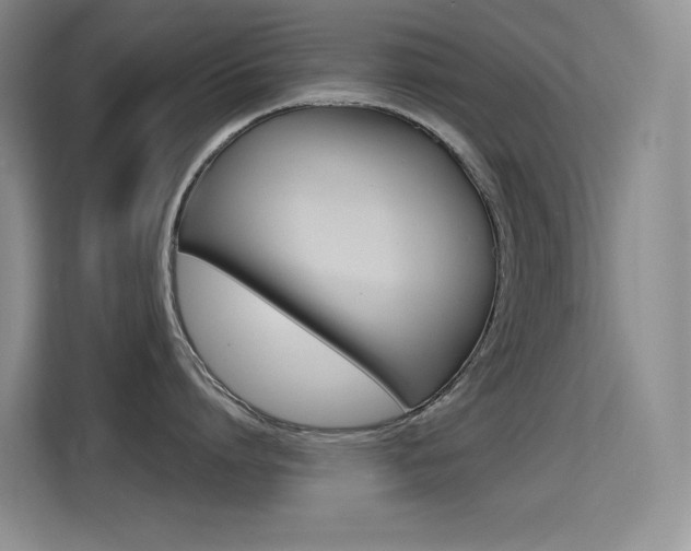 X0000114730864200910211101
