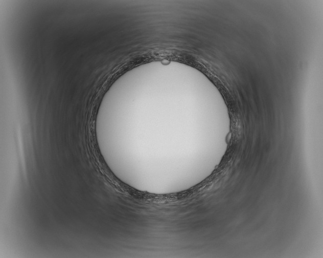 X0000114730865200910211101