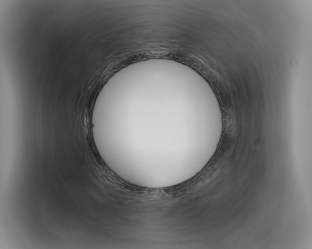 X0000114730866200910211101
