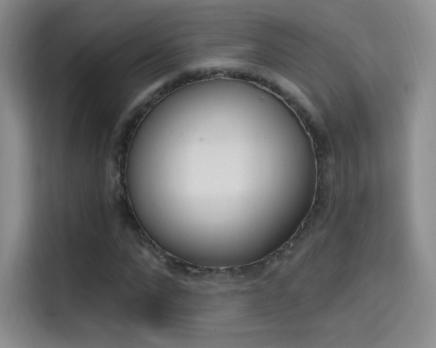 X0000114730872200910211101