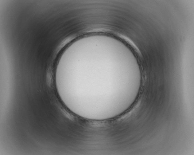 X0000114730874200910211101