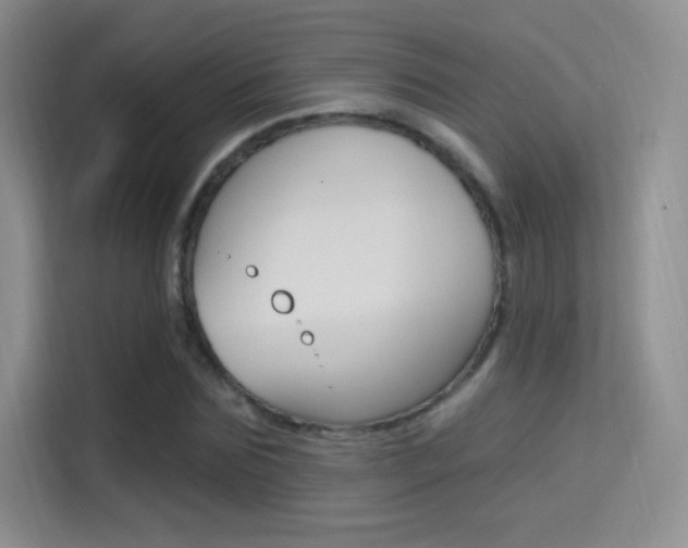 X0000114730875200910211100