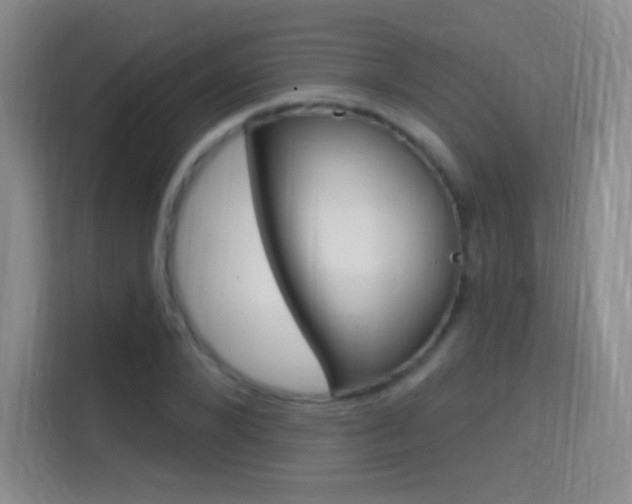 X0000114730880200910211100