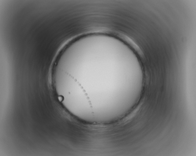 X0000114730883200910211100