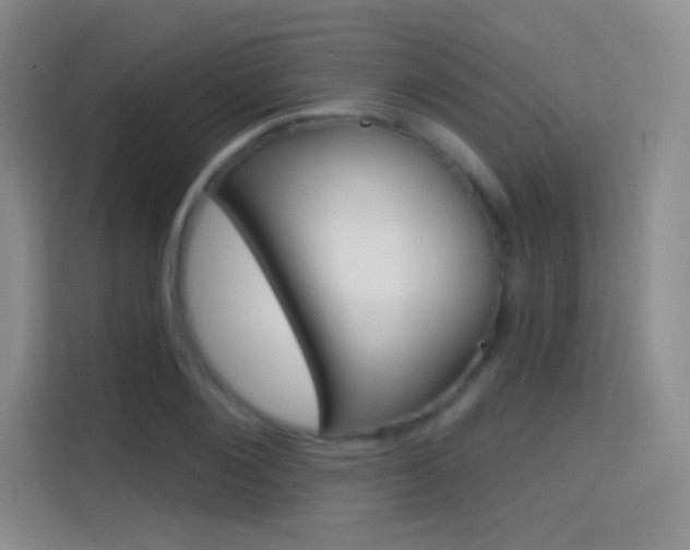X0000114730884200910211100
