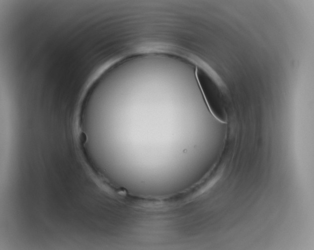 X0000114730885200910211100
