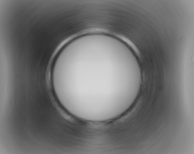 X0000114730886200910211100