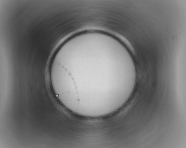 X0000114730887200910211100