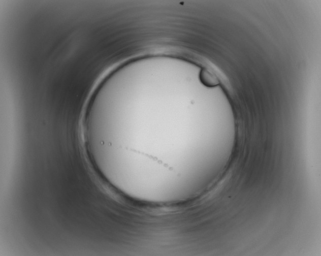 X0000114730891200910211100