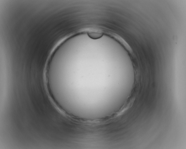 X0000114730893200910211100