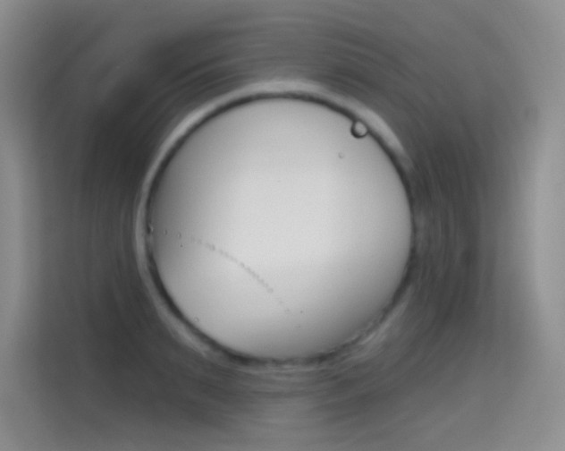 X0000114730895200910211100
