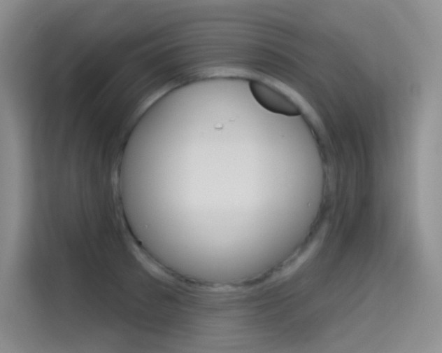 X0000114730897200910211100