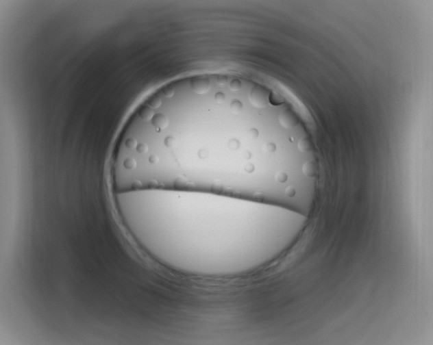 X0000114730899200910211100