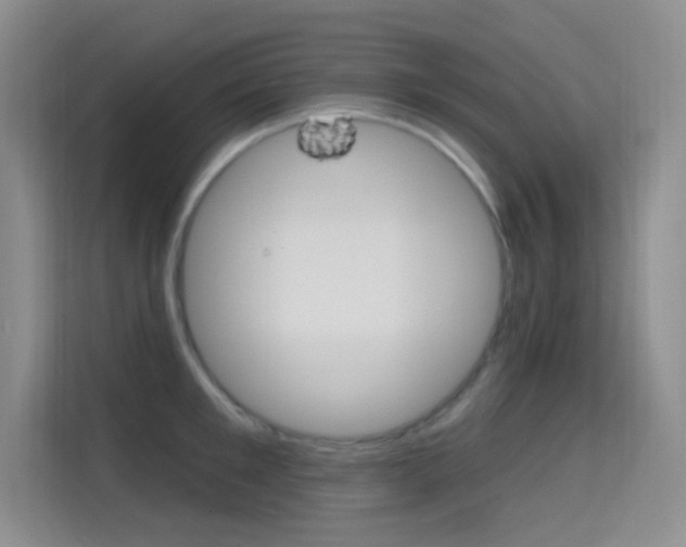 X0000114730901200910211100