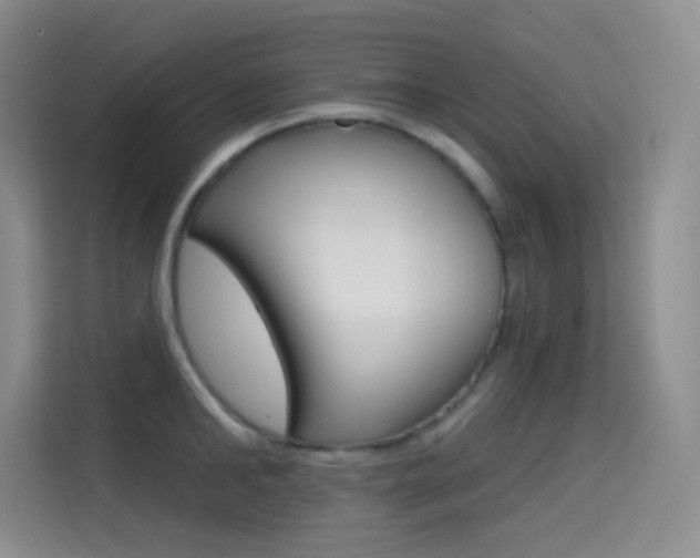 X0000114730902200910211100