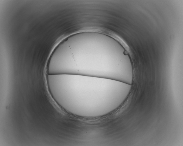 X0000114730907200910211100