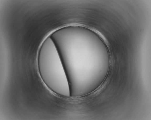 X0000114730910200910211100