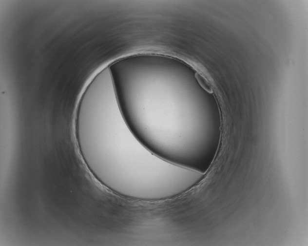 X0000114730912200910211100