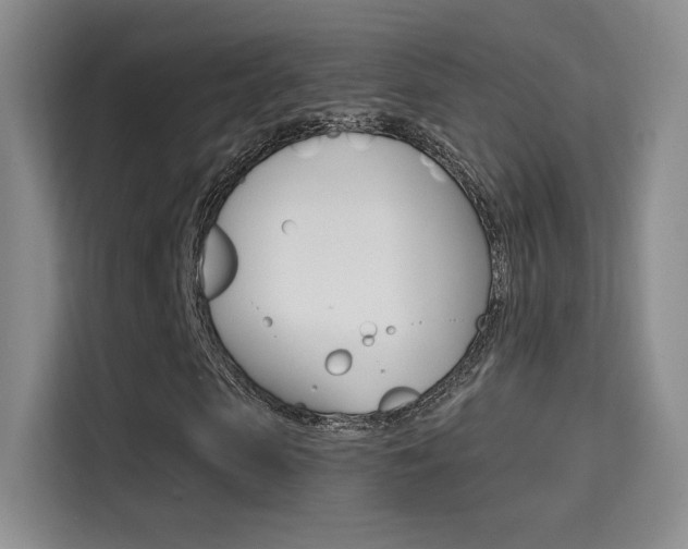 X0000114730913200910211059