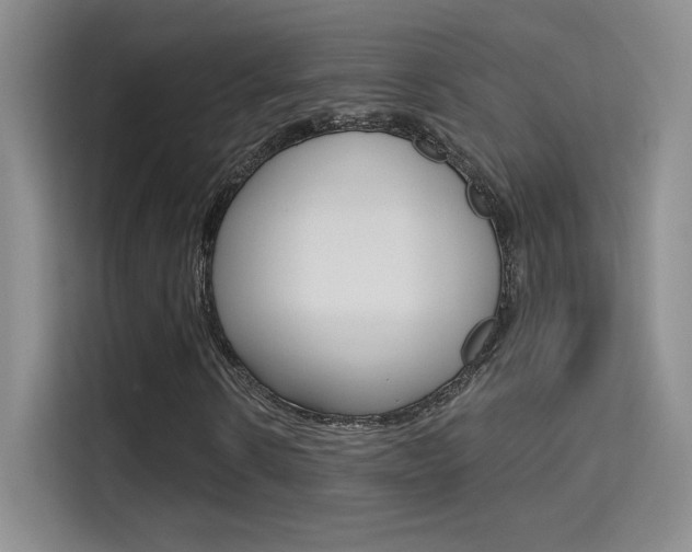 X0000114730914200910211059