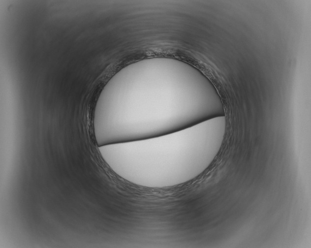 X0000114730915200910211059