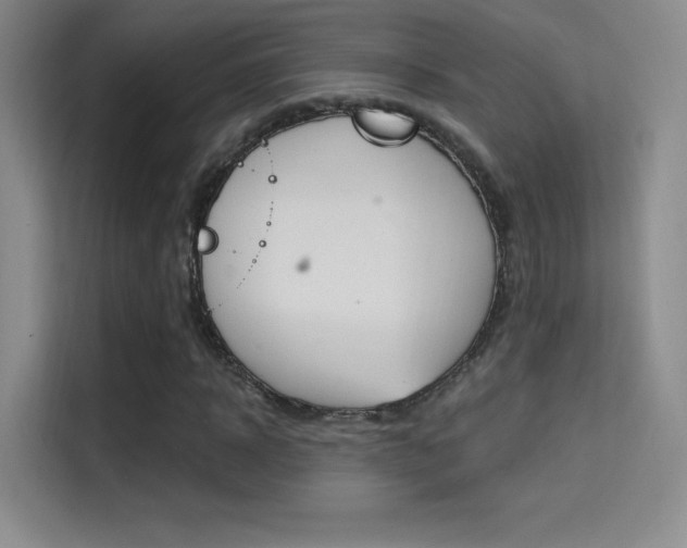 X0000114730918200910211059