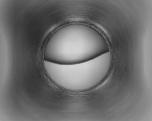 X0000114730922200910211100