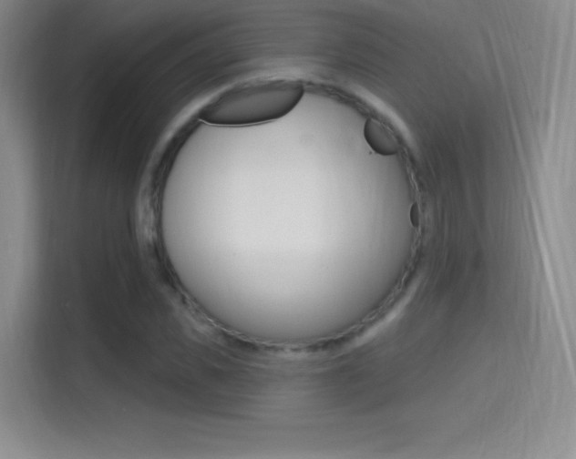 X0000114730925200910211100