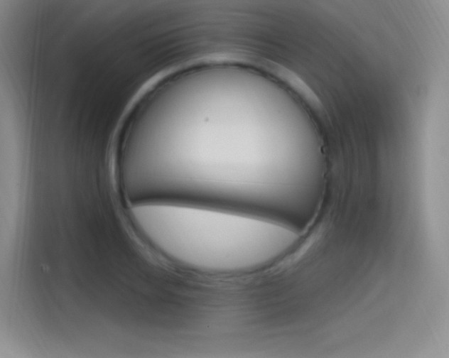 X0000114730934200910211100