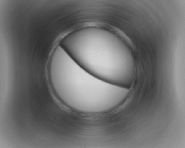 X0000114730938200910211100