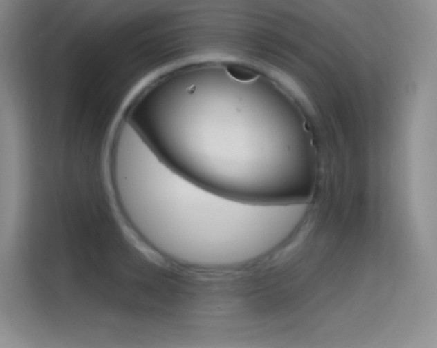 X0000114730942200910211100