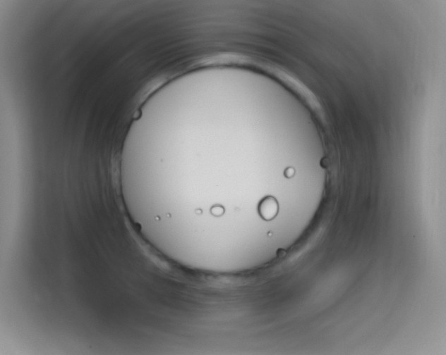 X0000114730945200910211100