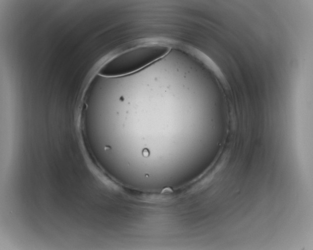 X0000114730946200910211100