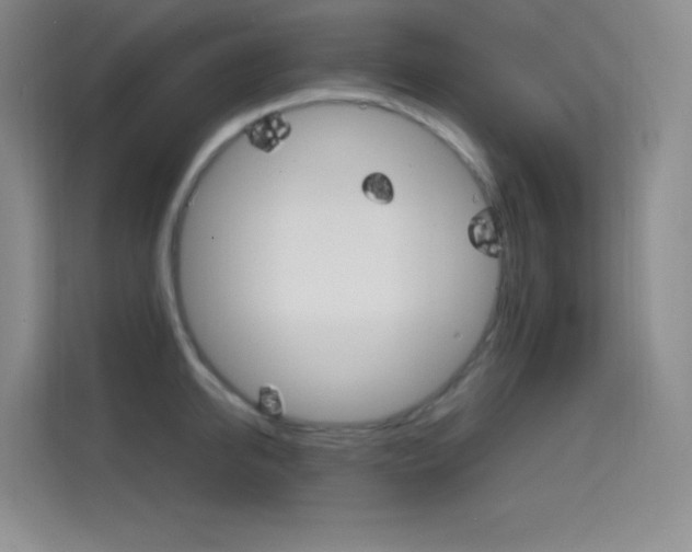 X0000114730950200910211100