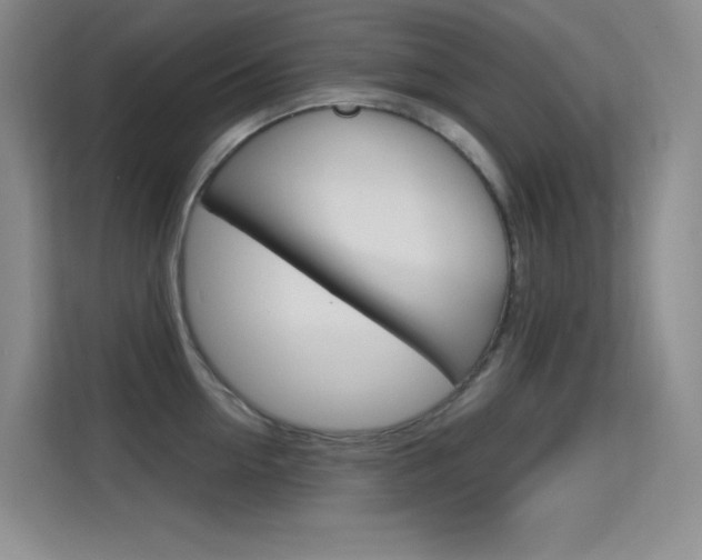X0000114730954200910211100