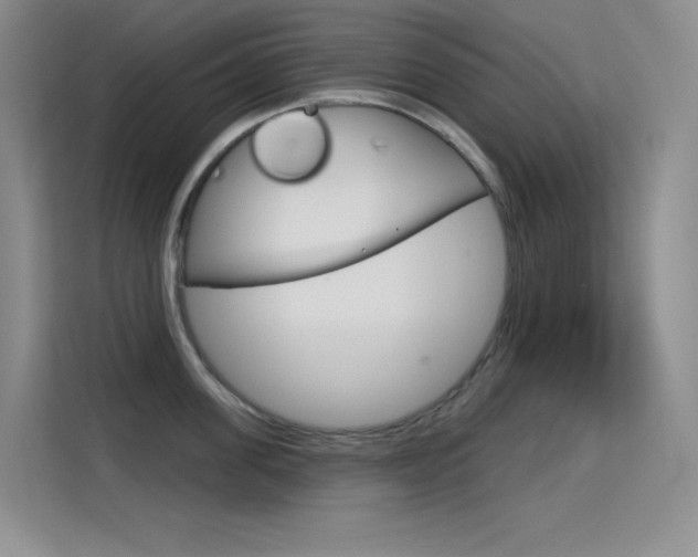 X0000114730955200910211100