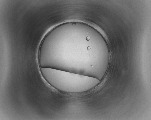 X0000114730958200910211100