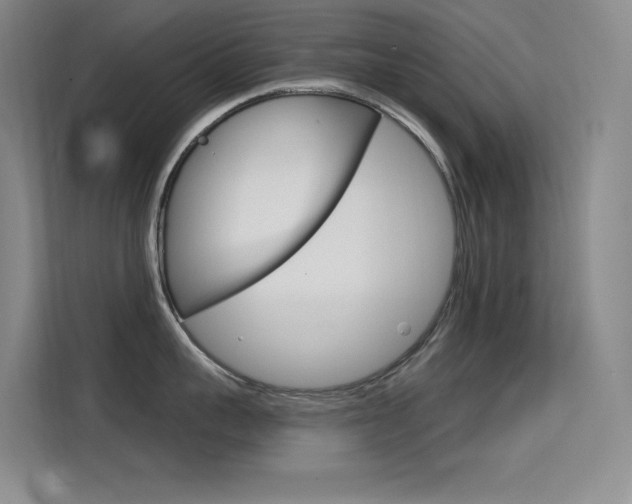 X0000114730959200910211100