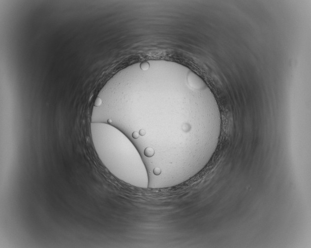 X0000114730962200910211059