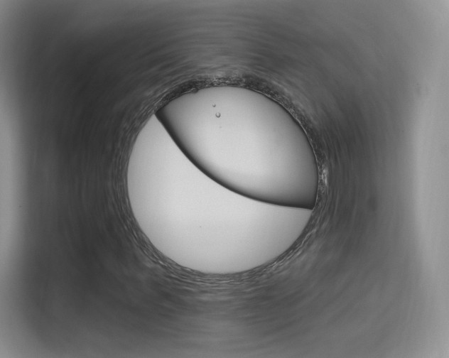 X0000114730963200910211059