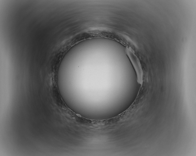 X0000114730965200910211059
