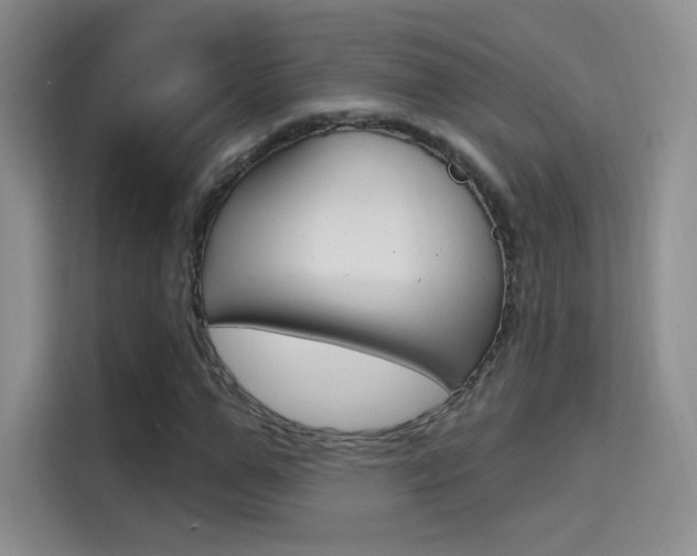 X0000114730967200910211059