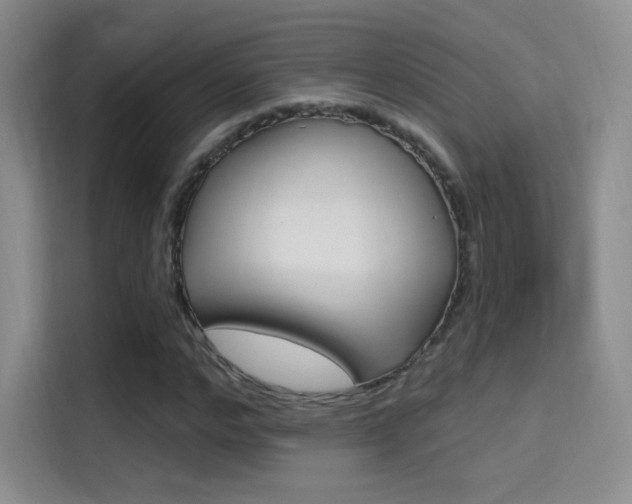 X0000114730968200910211059