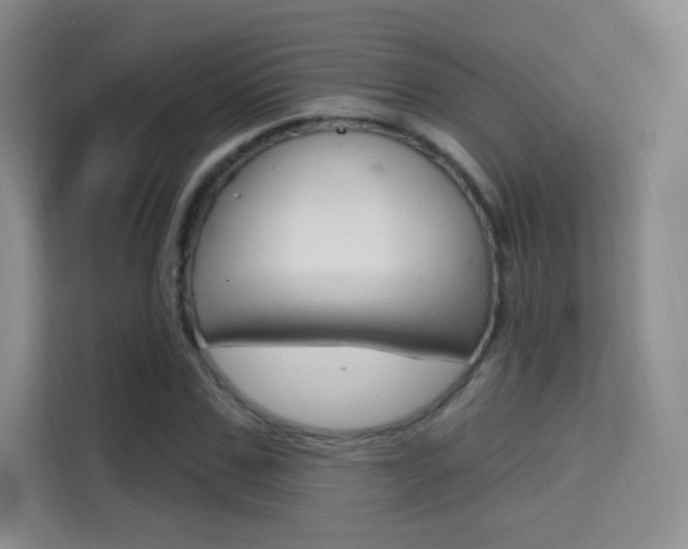 X0000114730971200910211059