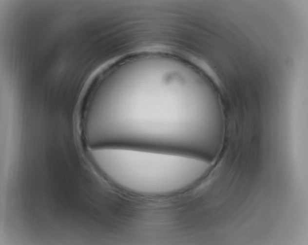 X0000114730979200910211059