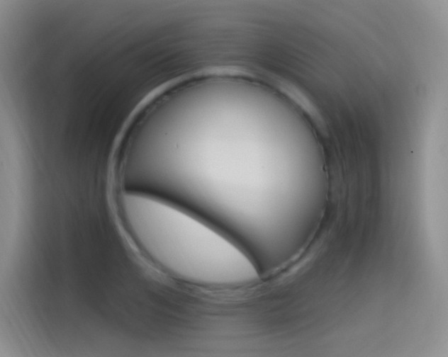 X0000114730984200910211059